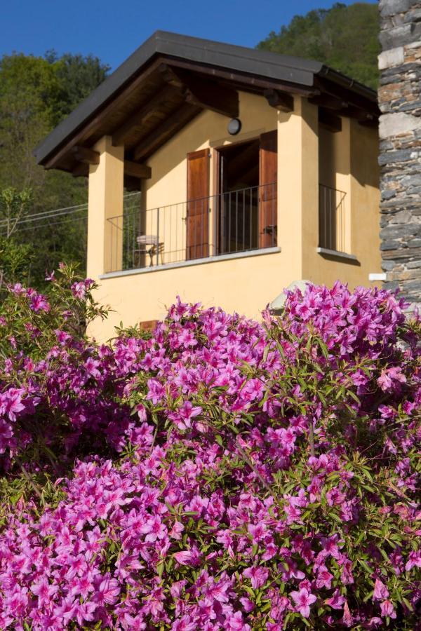 Violina Casa Vacanze Pettenasco Exterior foto